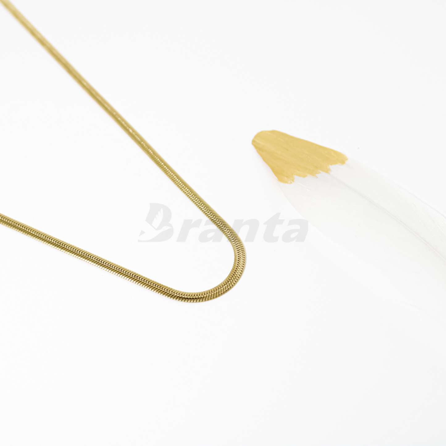 Gold Plated Snake Chain For Men (22 Inch)
