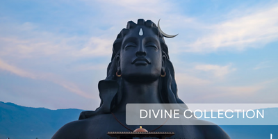 Divine Collection