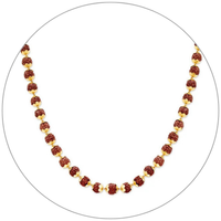 Divine Collection-main